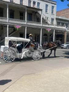 autism transition program | IMG 4848