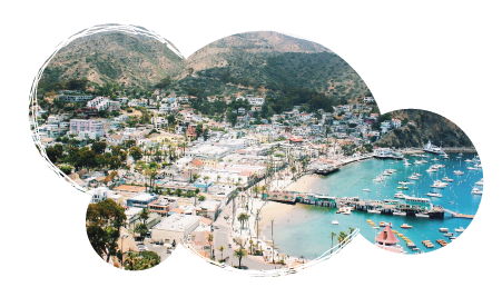 autism transition program | LB CATALINA A LR