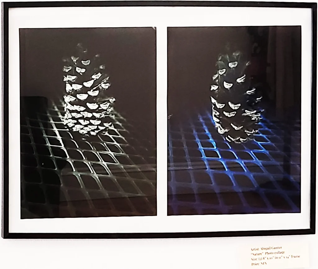 Empowered by Art - 2024 National Art Exhibit & Contest 3 autism transition program | Nature by Abigail Gunter