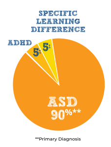 Pie Chart